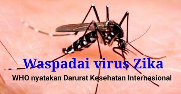Virus Zika Belum Ditemukan di Dumai