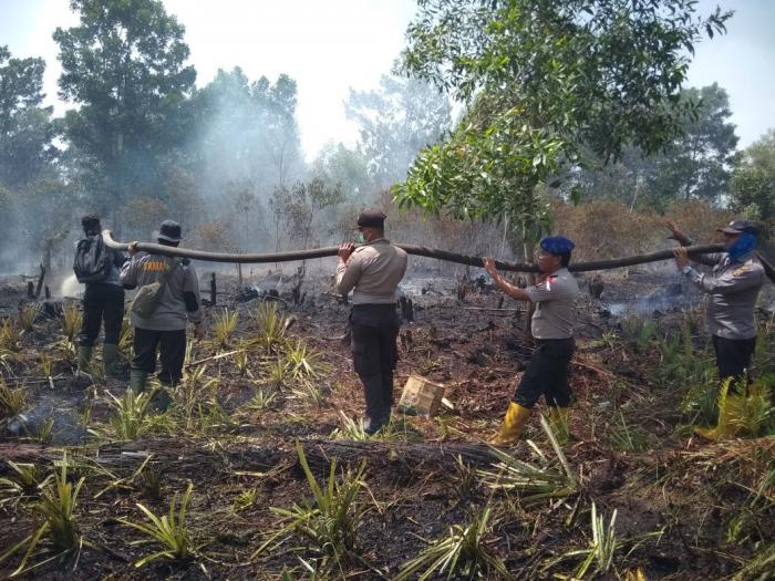 Sepekan, 31 Hektar Lahan Kosong Terbakar di Dumai
