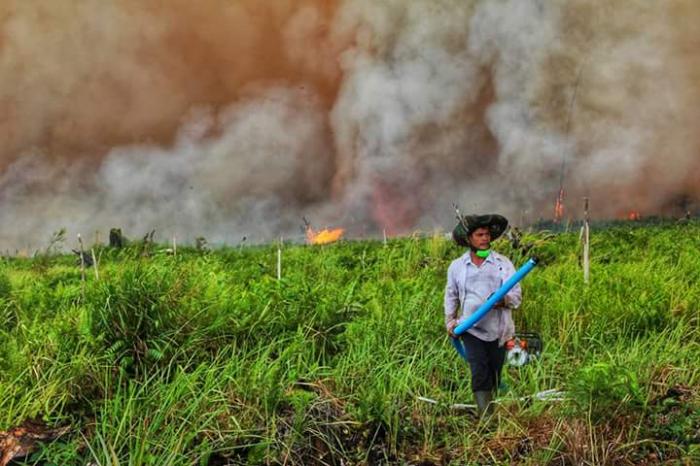Tiga Hotspot Terpantau di Pesisir Riau
