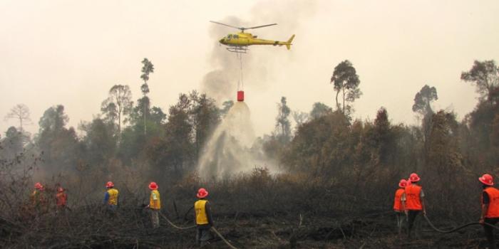 Lima Titik Api Terdeteksi Di Riau