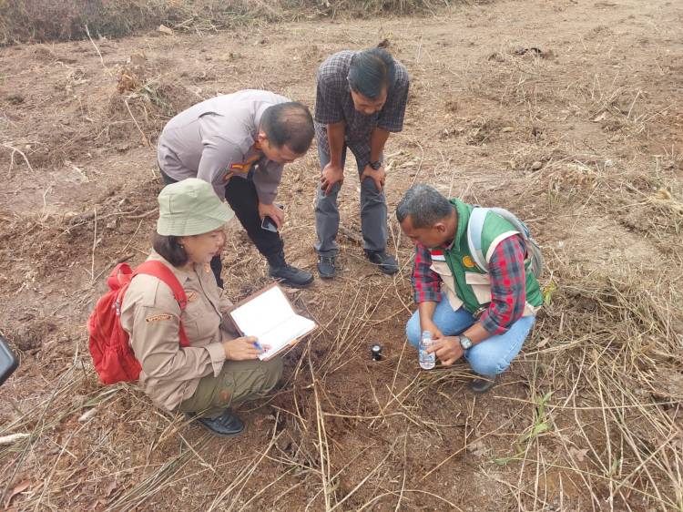 Lahan Subur Pangkalan Sesai Diolah, Polsek KSKP Dumai Dorong Produksi Jagung