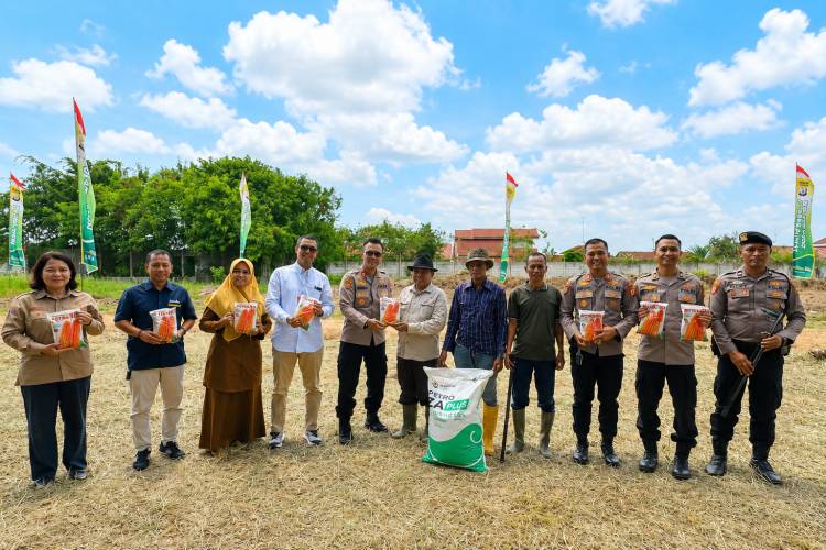 Polres Dumai Gelar Penanaman Jagung Serentak, Polsek KSKP Aktif Siapkan Lahan Pertanian