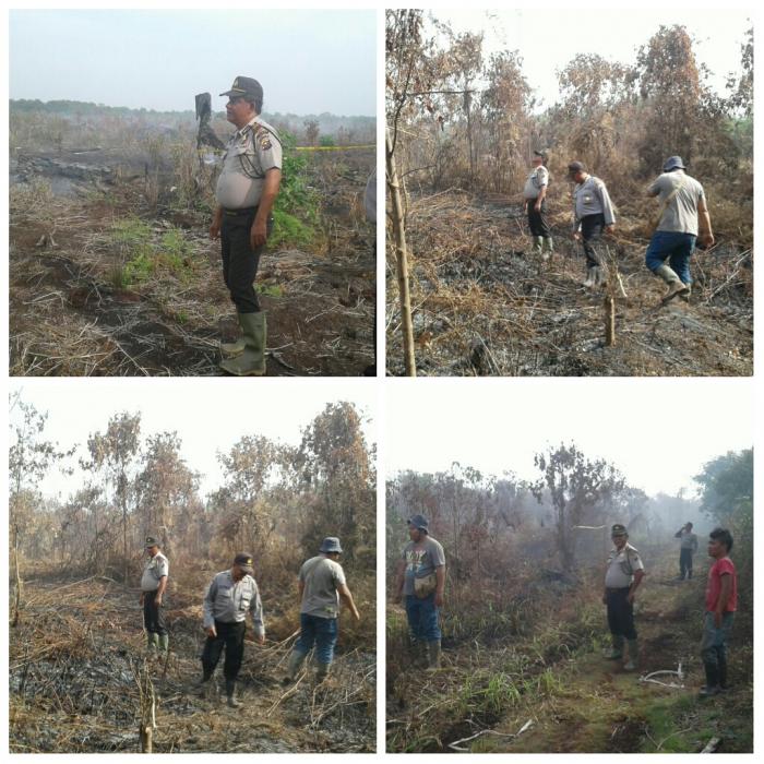 Polisi Lidik Pembakaran 8 Hektare Lahan Di Dumai