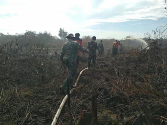10 Hektar Kawasan TWA Medang Kampai Terbakar