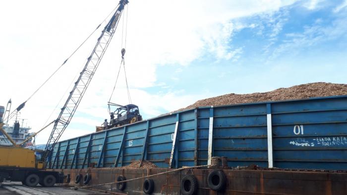 'Kongkalikong' Bongkar Woodchips PT IKPP di Pelindo Dumai